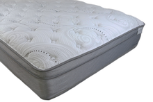 Load image into Gallery viewer, Milan Eurotop M6